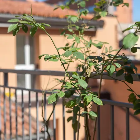 Velvet Terrace Apartment Bologna