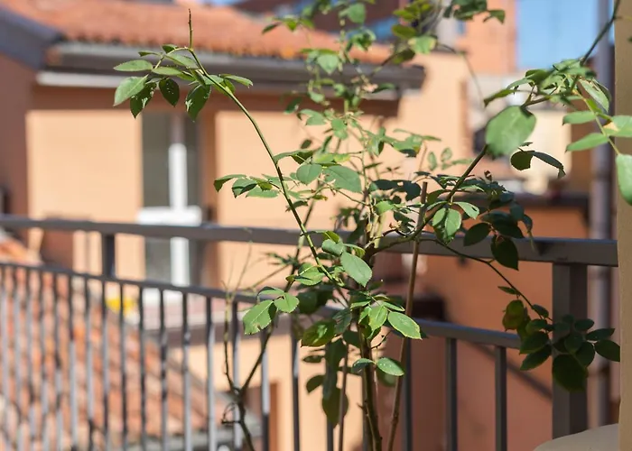 Velvet Terrace דירה בולוניה